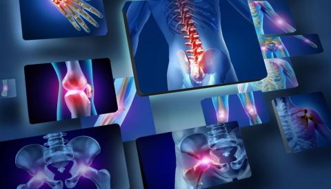 Journal of Orthopedic Research & Therapeutics
